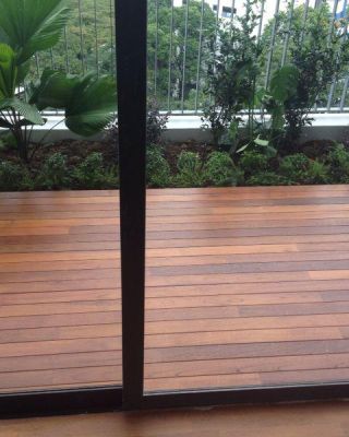 Teak 2